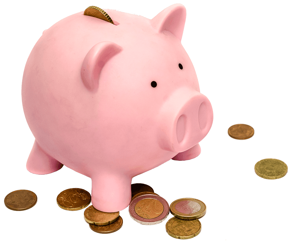 Piggy bank with money